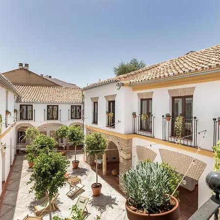 אכסניה Libere Patio Santa Marta *